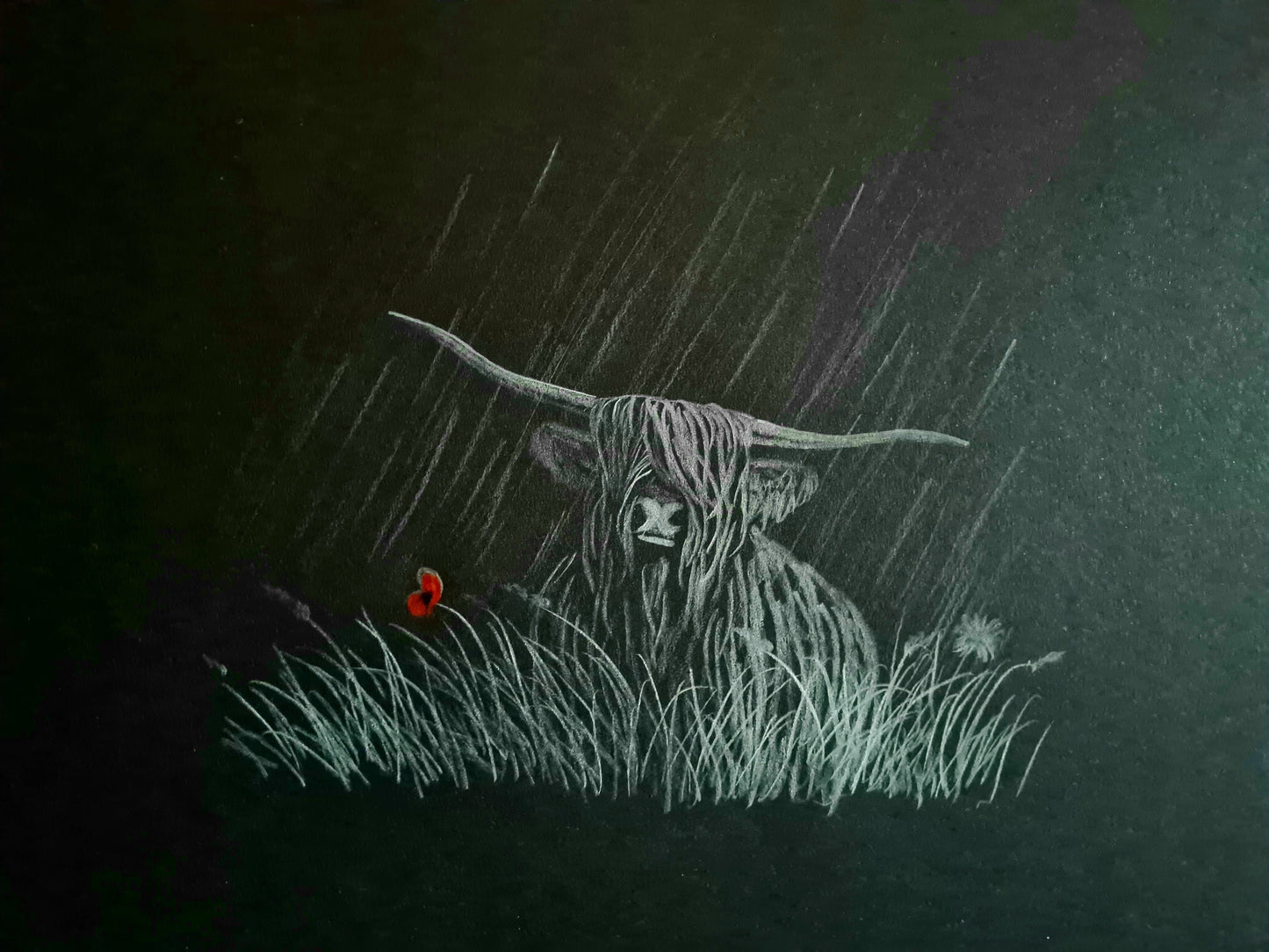 Highland coo remembrance art