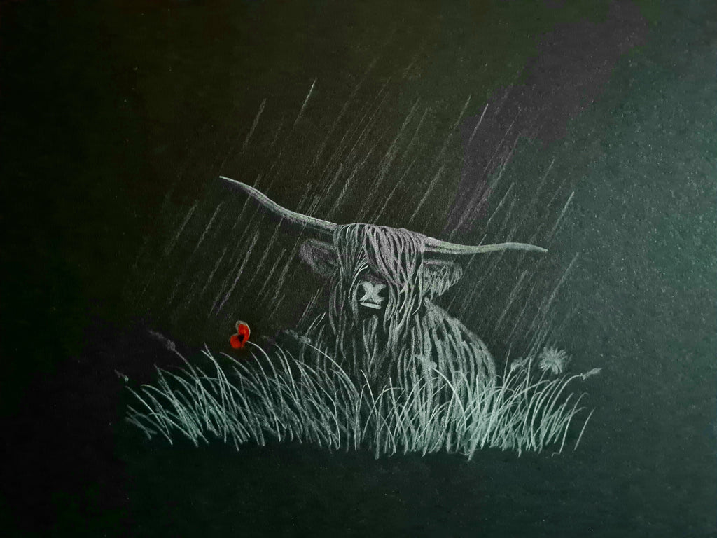 Highland coo remembrance art