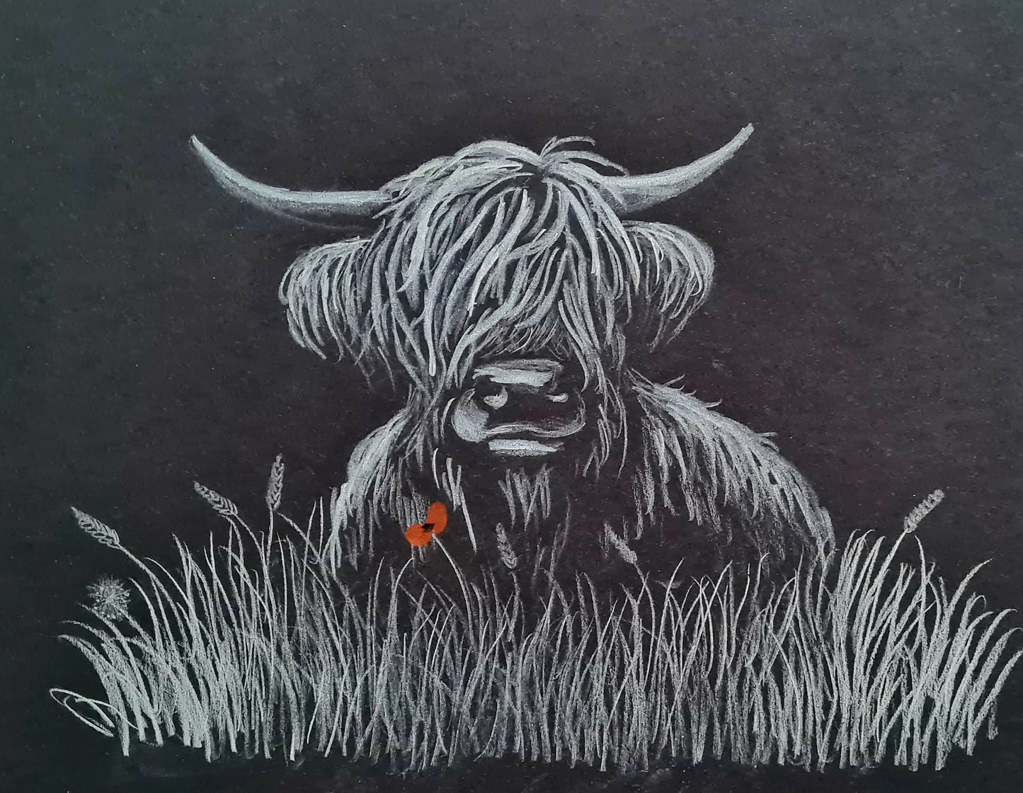 Remembrance art coo