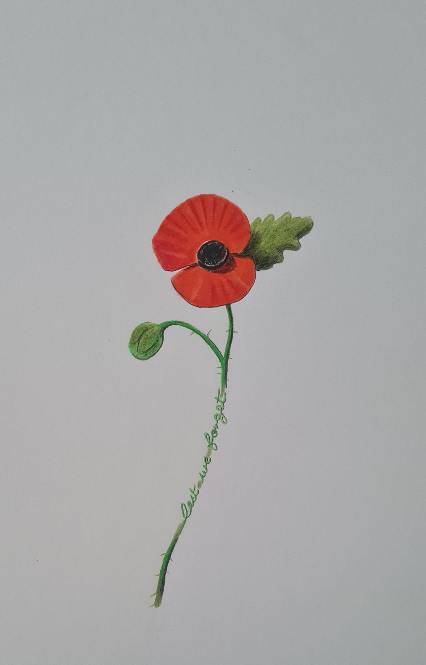 Poppy remembrance art