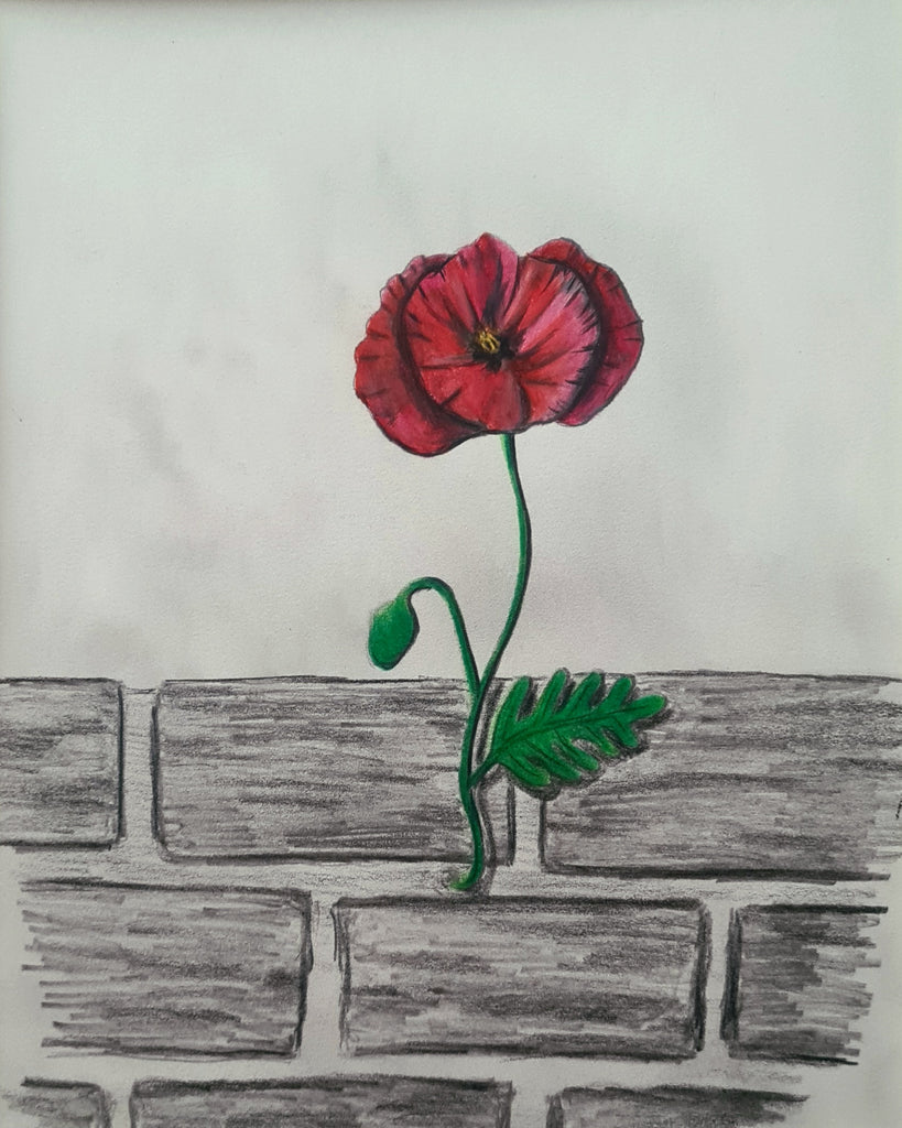 Remembrance art poppy