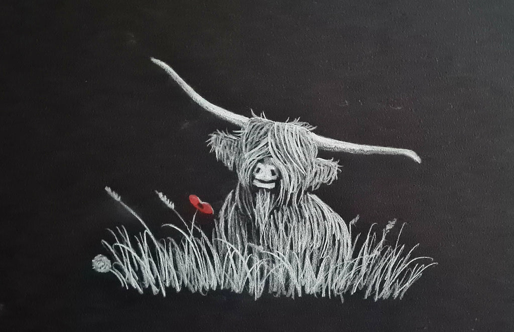 Remembrance art highland coo