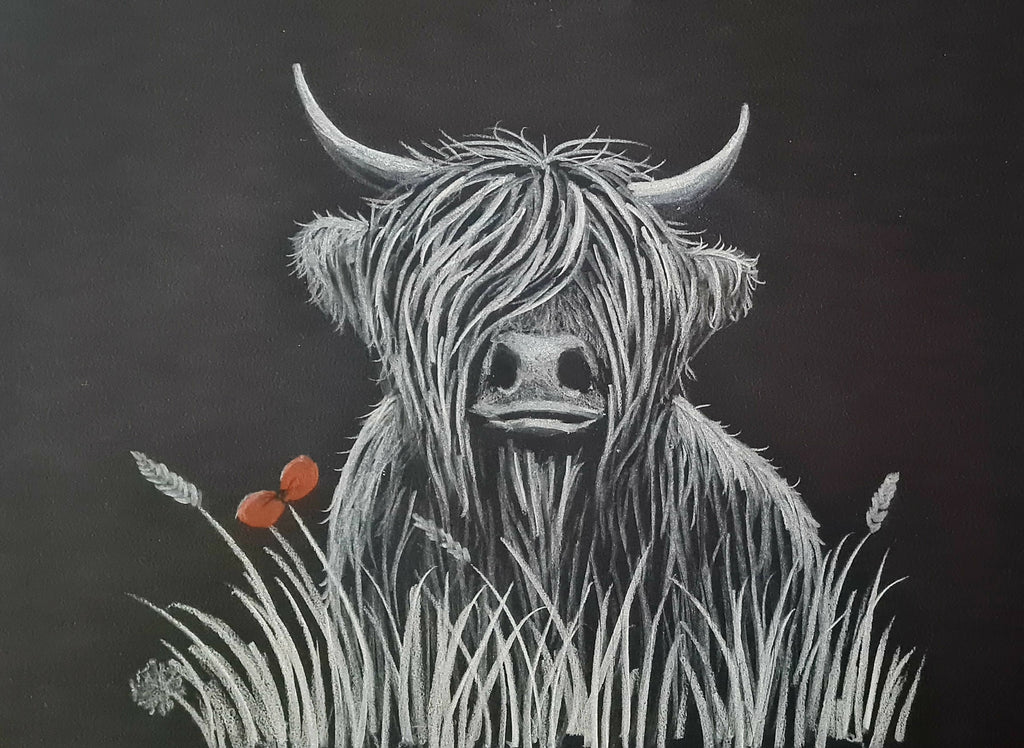 Remembrance art highland coo