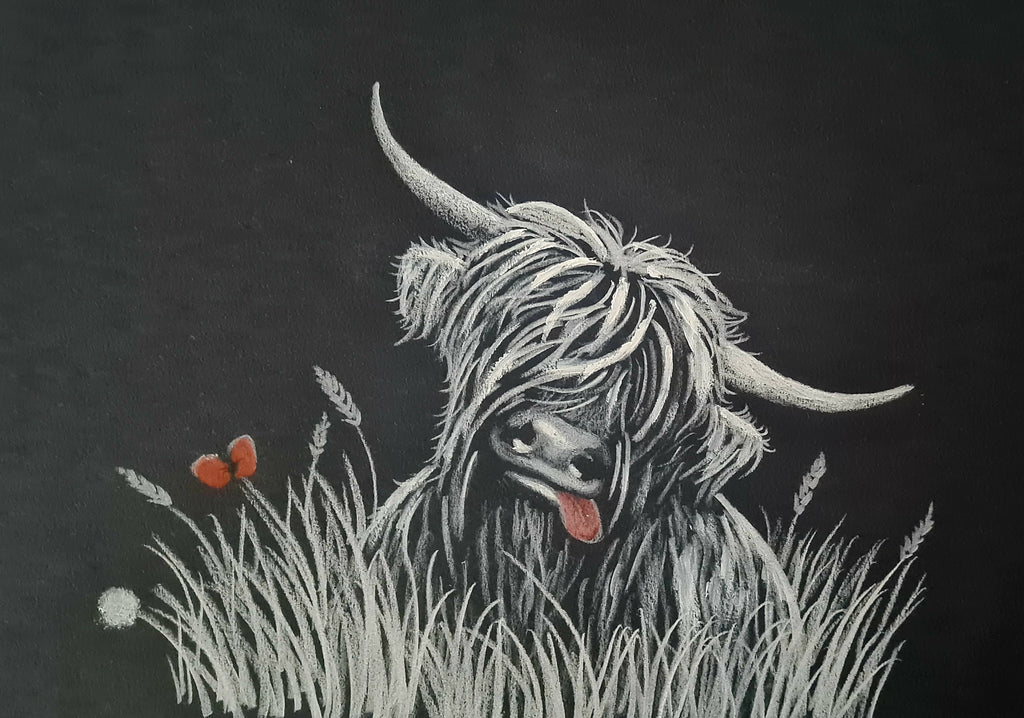 Remembrance art highland coo