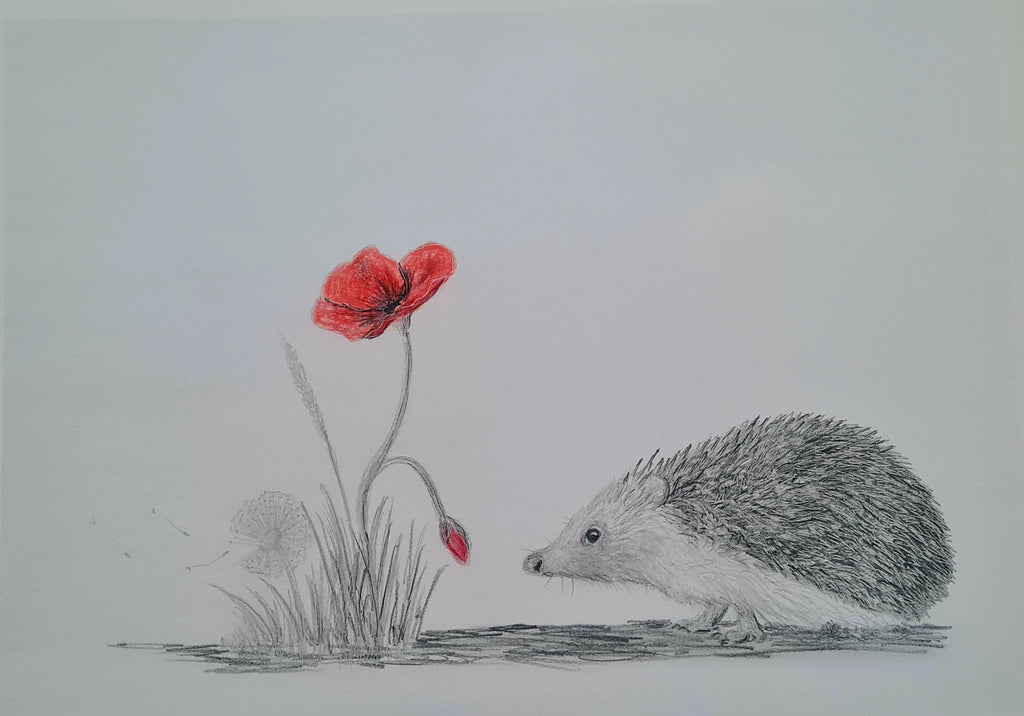 Remembrance art hedgehog