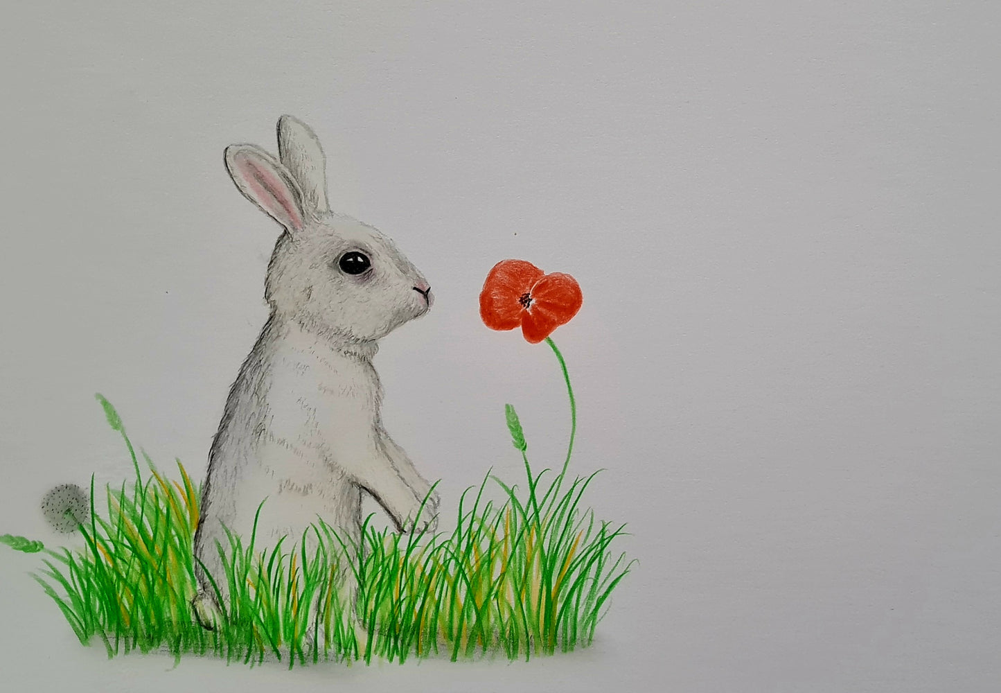 U716 Original Polychromo - 'white Rabbit'