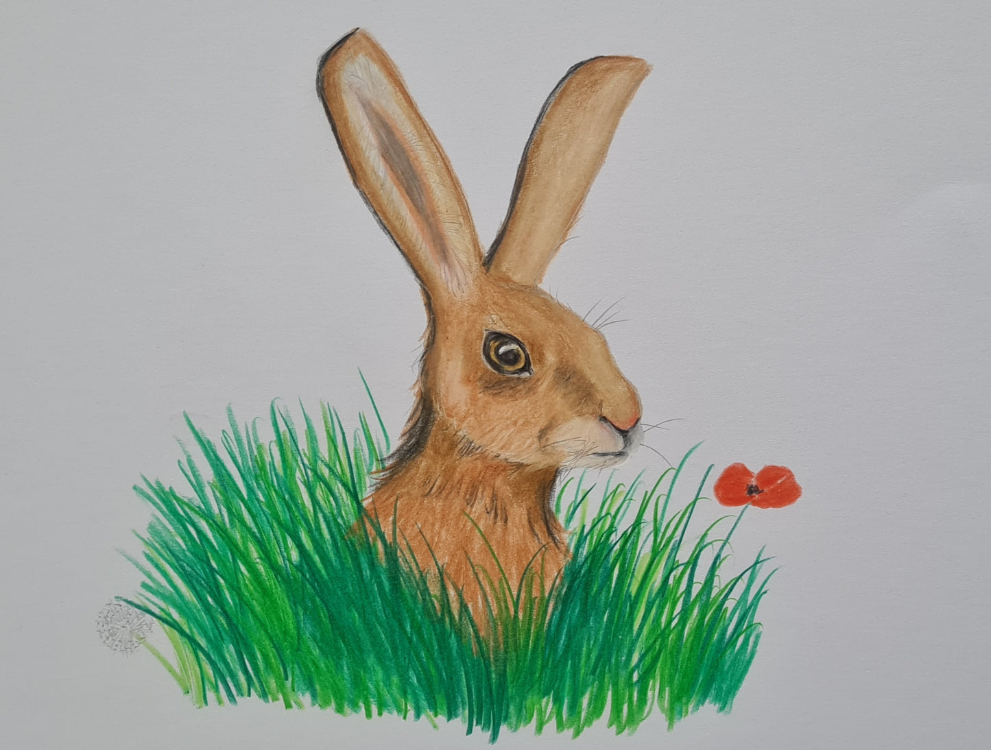 U720 Original Polychromo - 'Mad March hare'