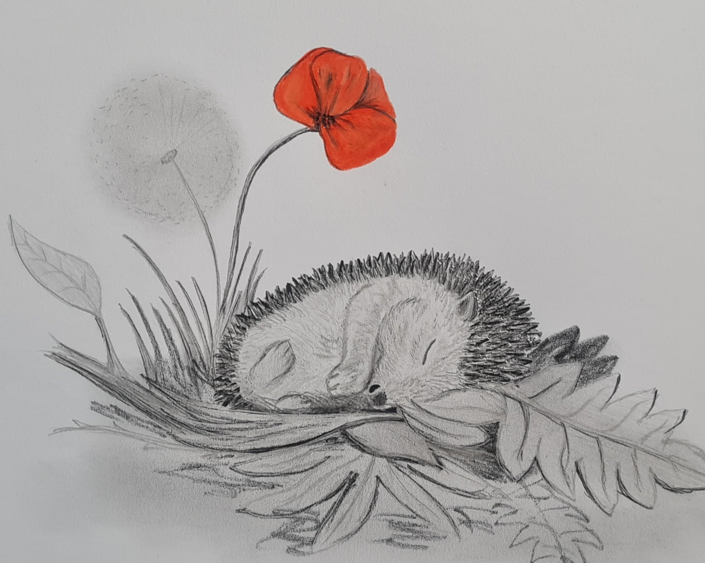 U729 Original Polychromo - 'snoozing hoglet'