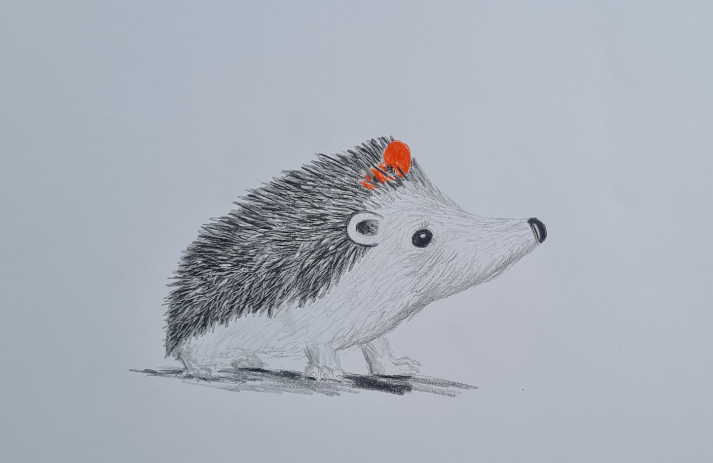 Original Polychromo - 'Hettie character work up #1'