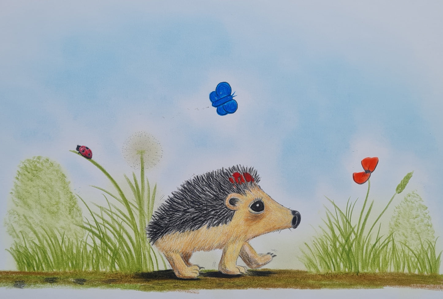 Original Polychromo and Pastel - 'Hettie sets off once again!'