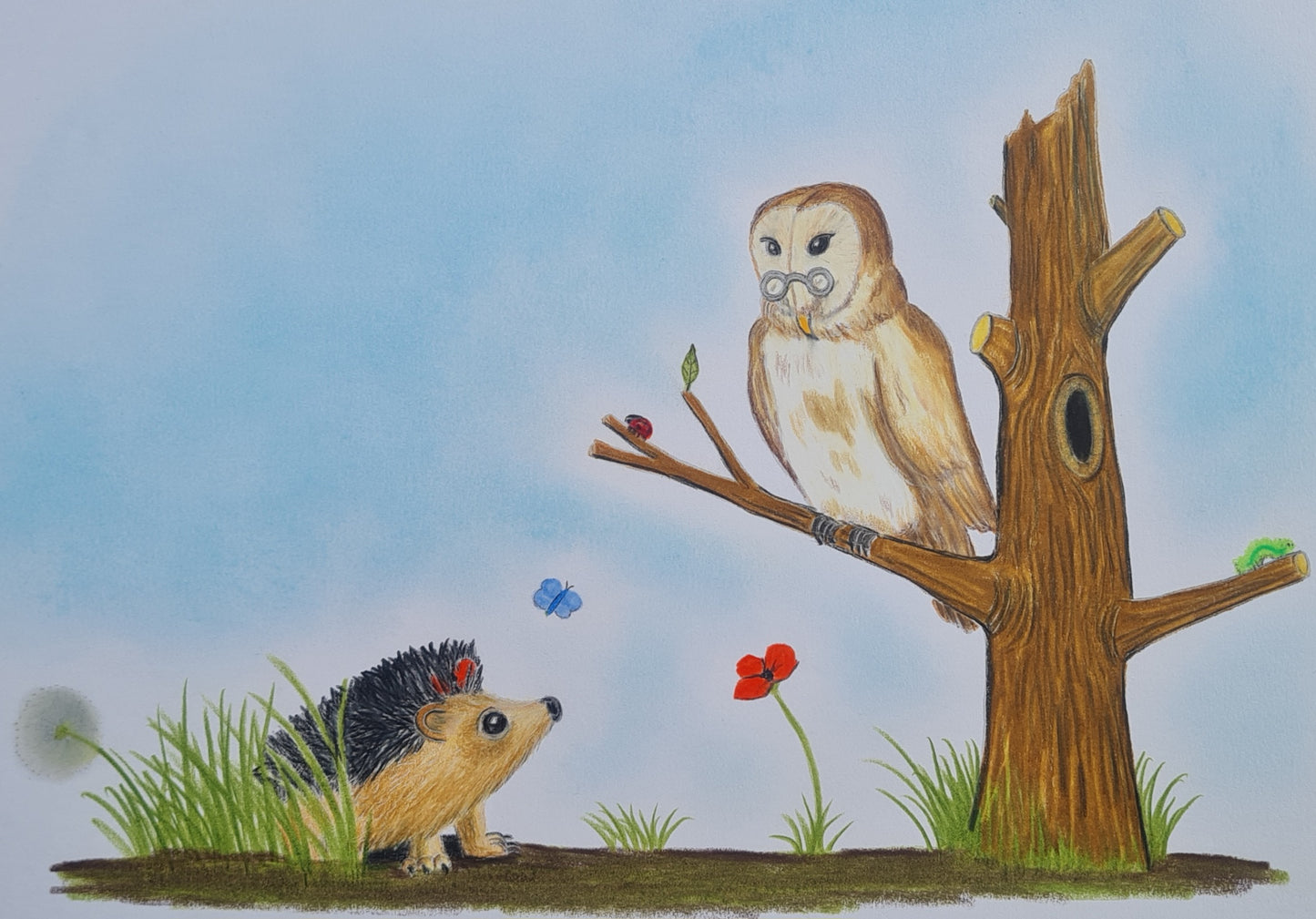 Original Polychromo and pastel - 'Hetty and the Wise Old Owl'
