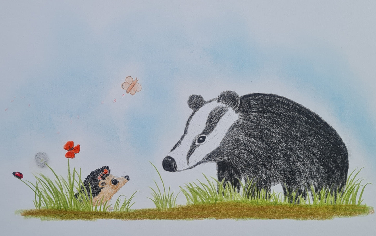 Original Polychromo - 'Hetty and the Badger'