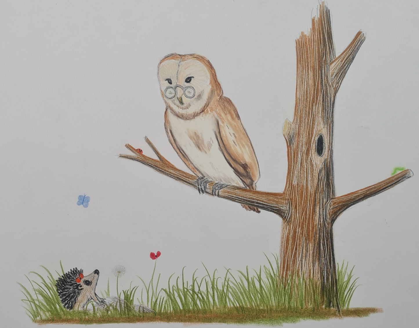 Original Polychromo - 'Hettie and the Wise Old Owl - work up #2'