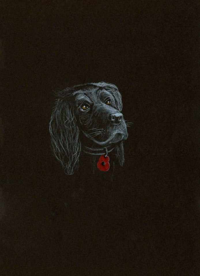 black poppy dog art