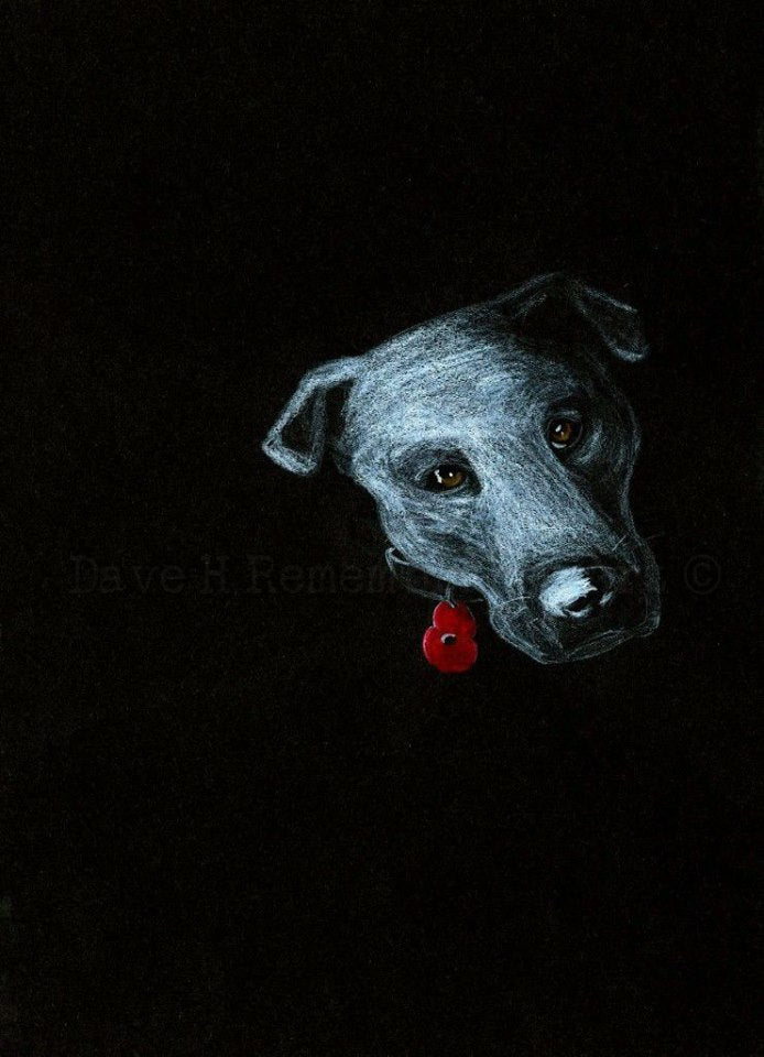 black poppy dog art
