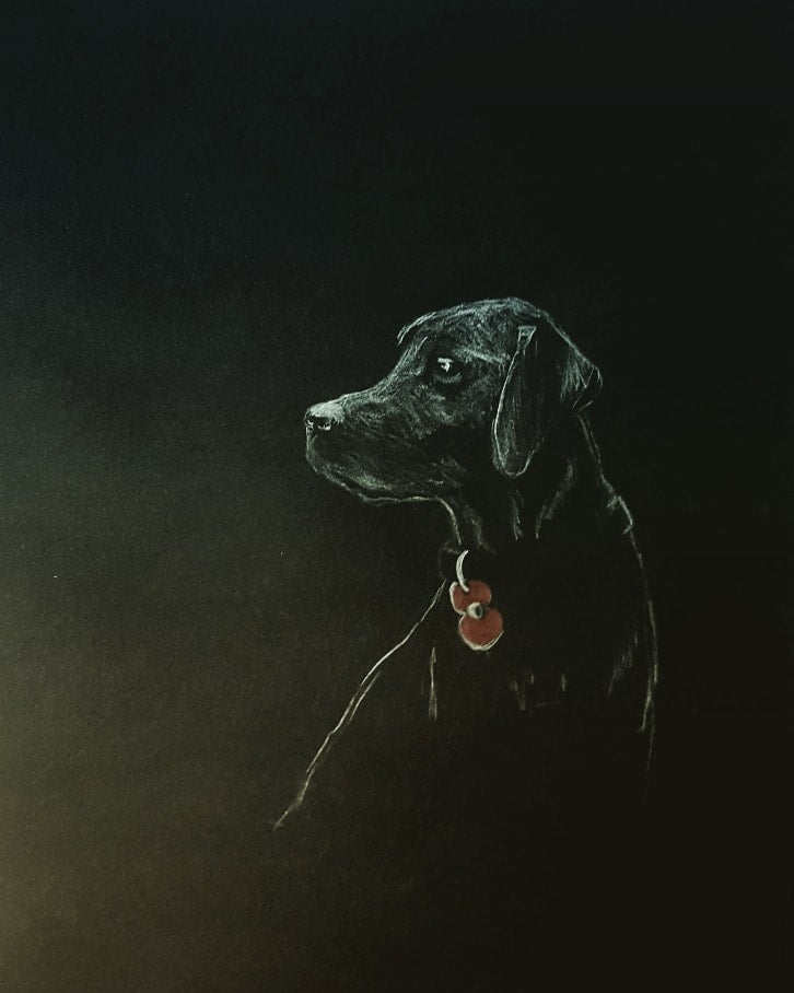 Poppy Dog Print Collection