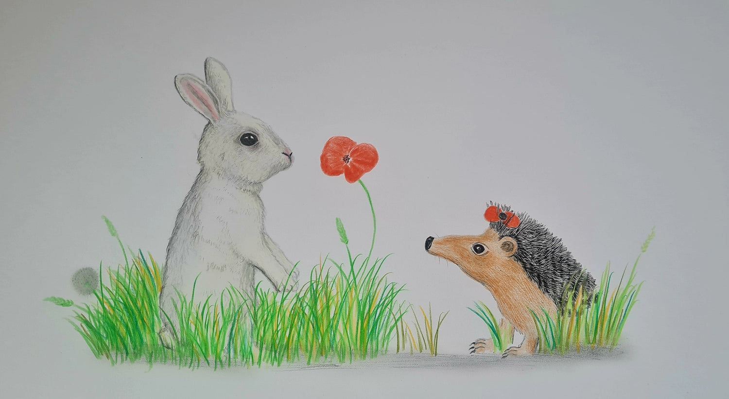 The making of 'Hettie and the Poppy'