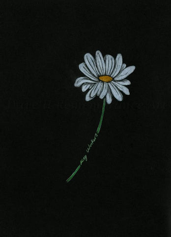 381 Original Polychromo - 'keyworker daisy'