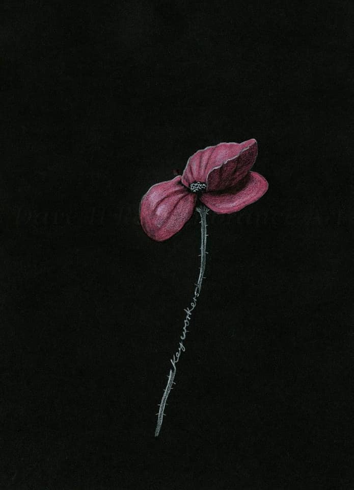 380 Original Polychromo - 'keyworker pink poppy''