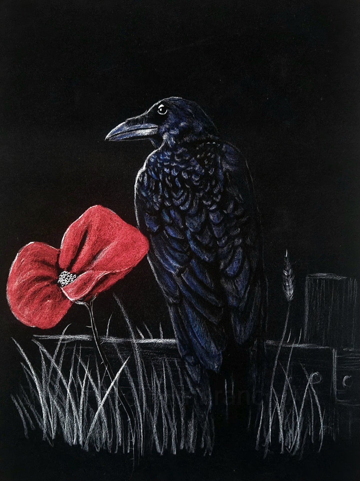 515 Original Polychromo - 'Rememberance Raven'