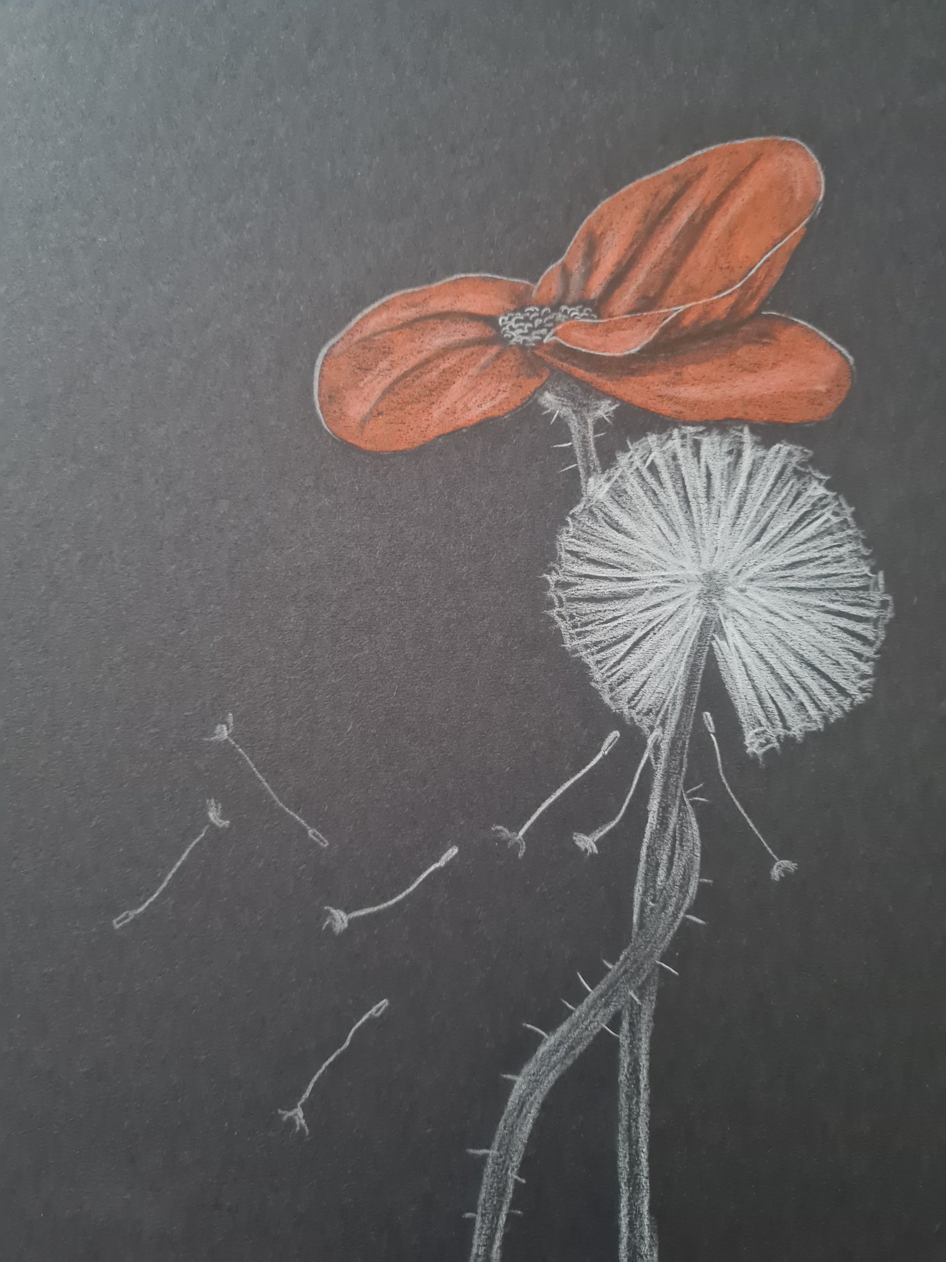 Remembrance art 