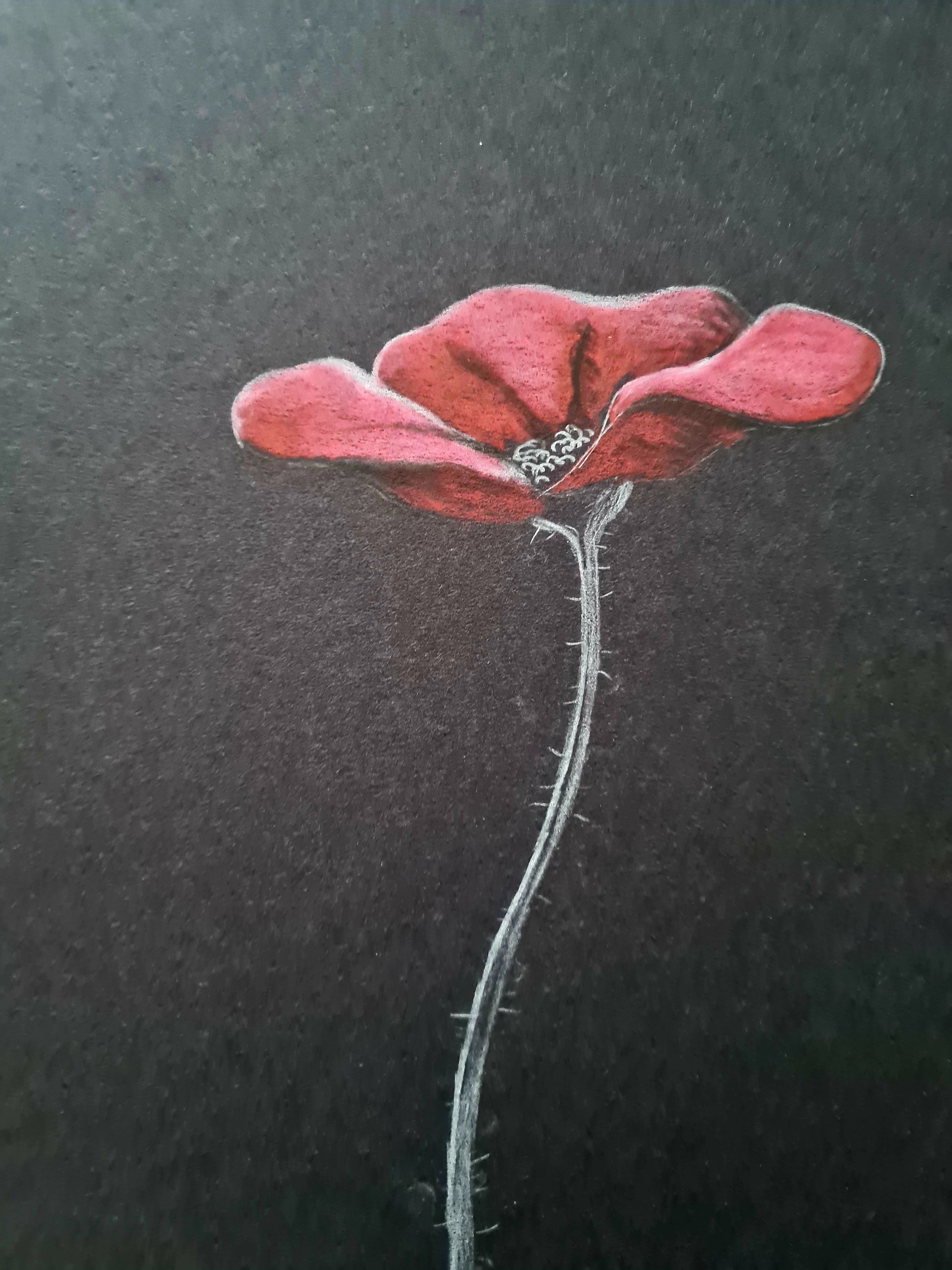 Remembrance art 