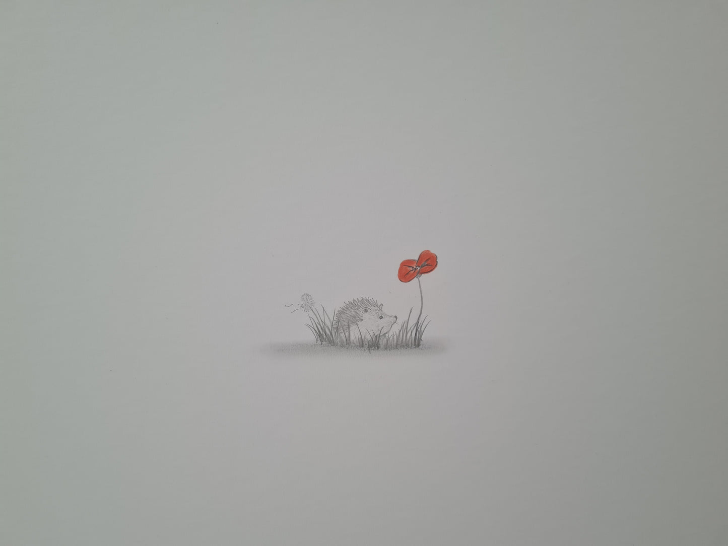 U702 Original Artwork - 'less is more - 'Hedgehog Poppy'
