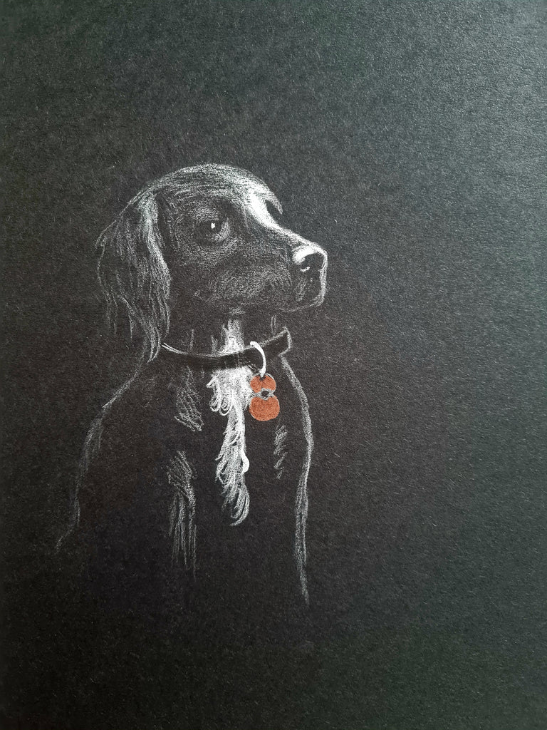 U686 Original Polychromo - 'Poppy dog #56'