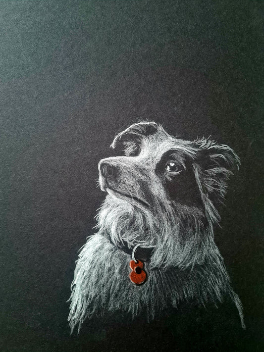U673 Original Polychromo - 'Poppy dog #53'