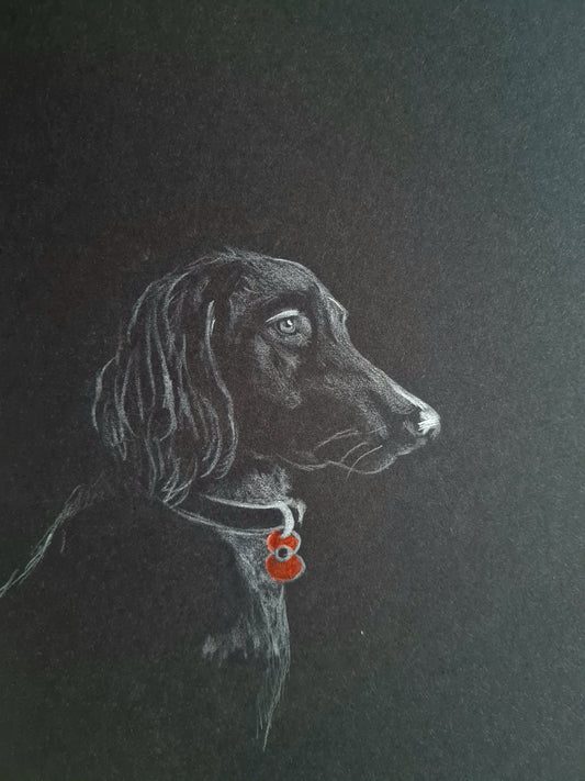 Remembrance art 