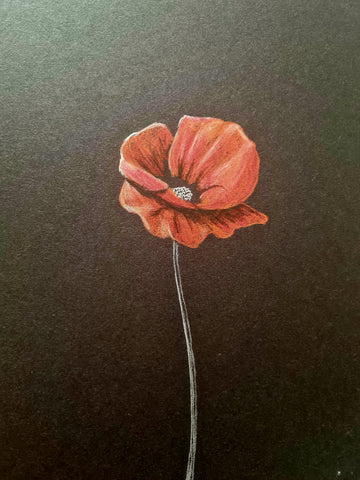 U690 Original Polychromo - 'a simple poppy #9'