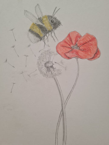 U655 Original Polychromo - 'Poppy Clock Bee'