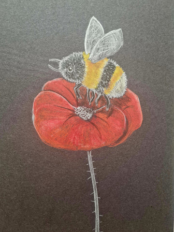 U608 Original Polychromo - 'Poppy Bee #2'