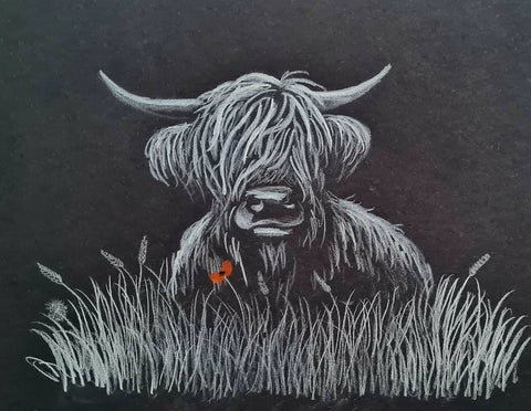 Original Polychromo - 'Duncan Coo'