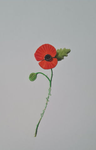 Original Polychromo - 'LWF Paper poppy'