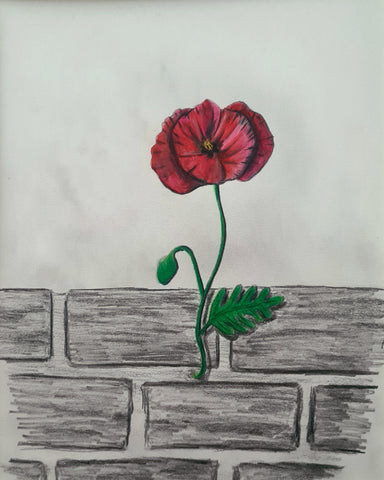 Original Polychromo - 'wallflower' sketch
