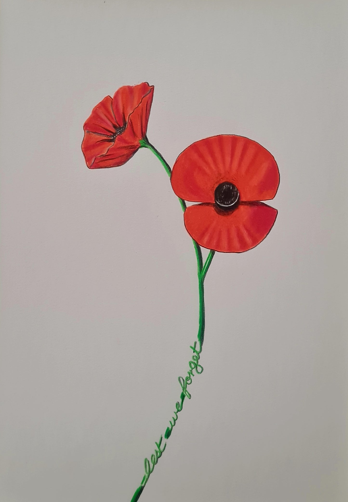 Two red poppies on a gray background with 'Never Forget' written on the stem.