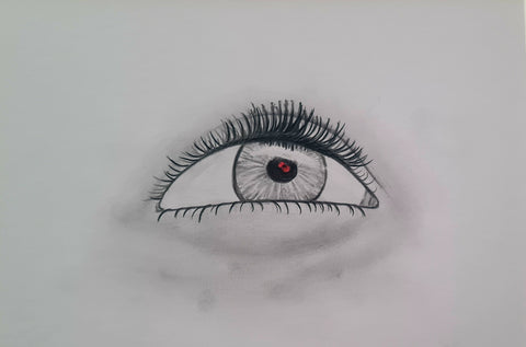 Original Polychromo and Graphite - 'Eye spy a poppy'