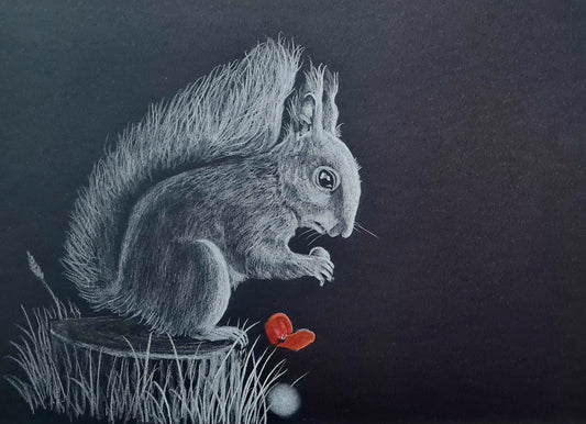 Squirrel art