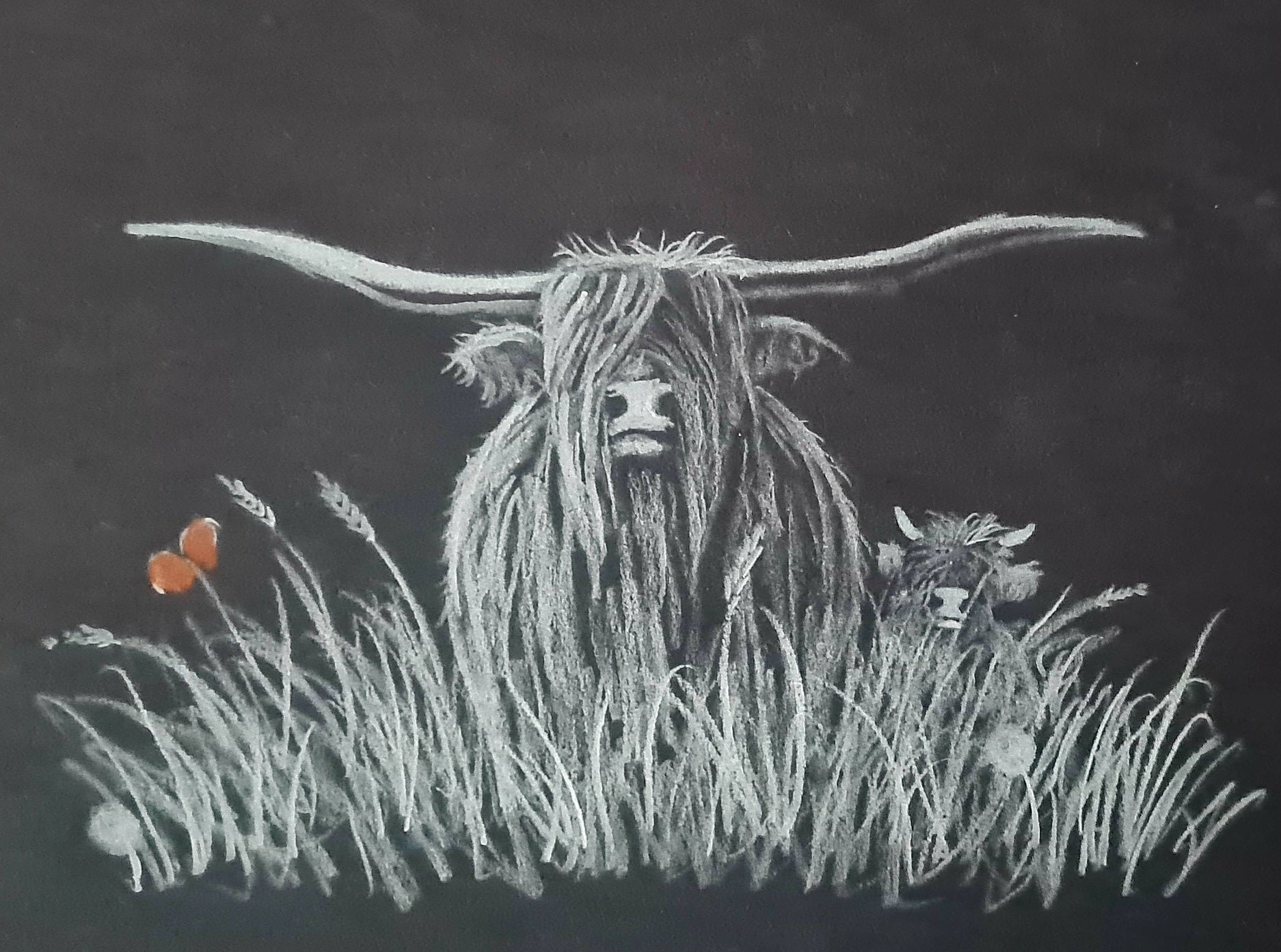 Remembrance art highland coo 
