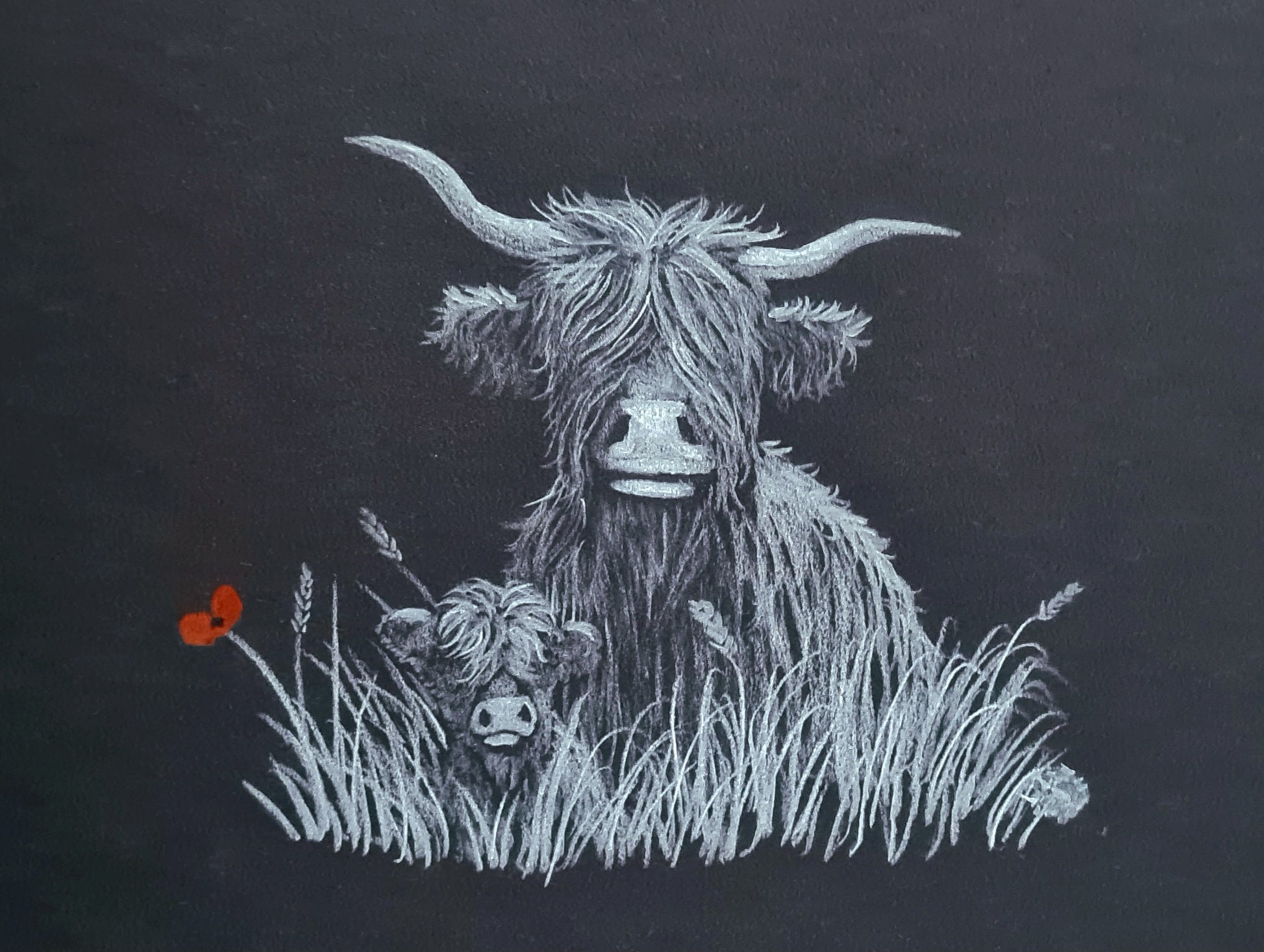 Remembrance art highland coo 