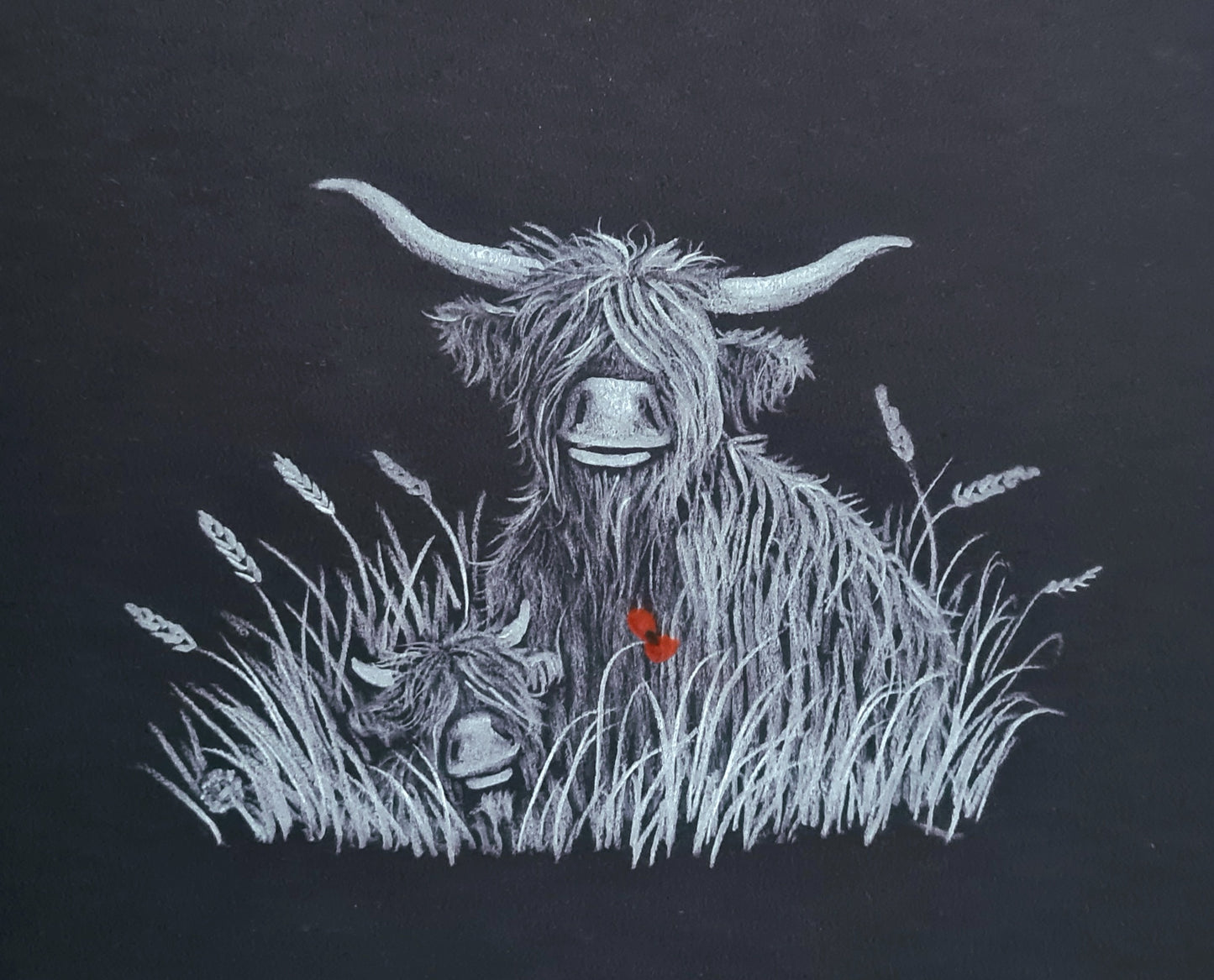 Remembrance art highland coo 