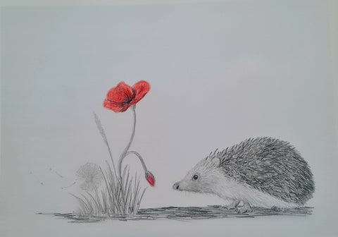 577 Limited Edition Giclée Print - 'poppy hog'