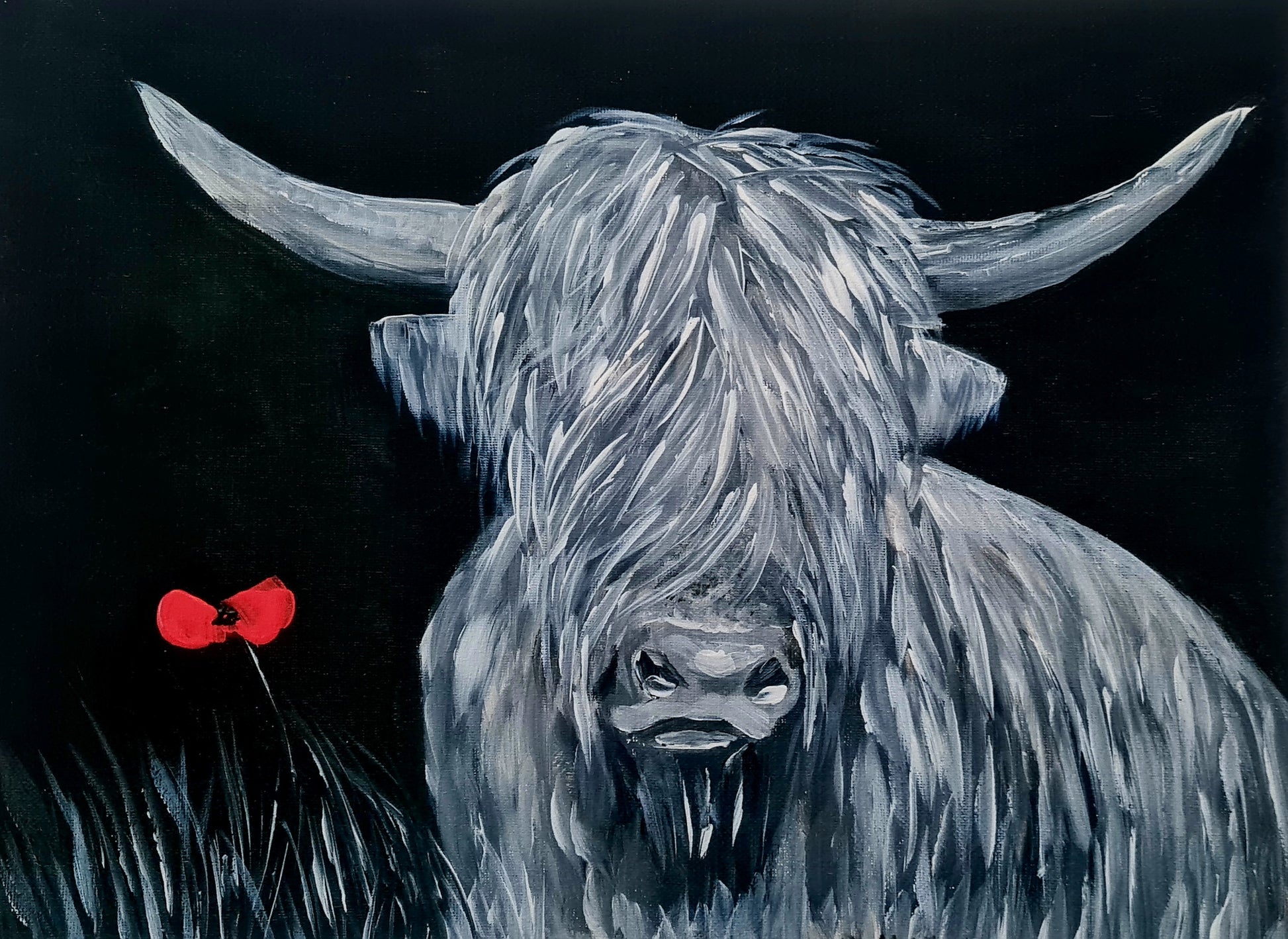 Remembrance art highland coo 
