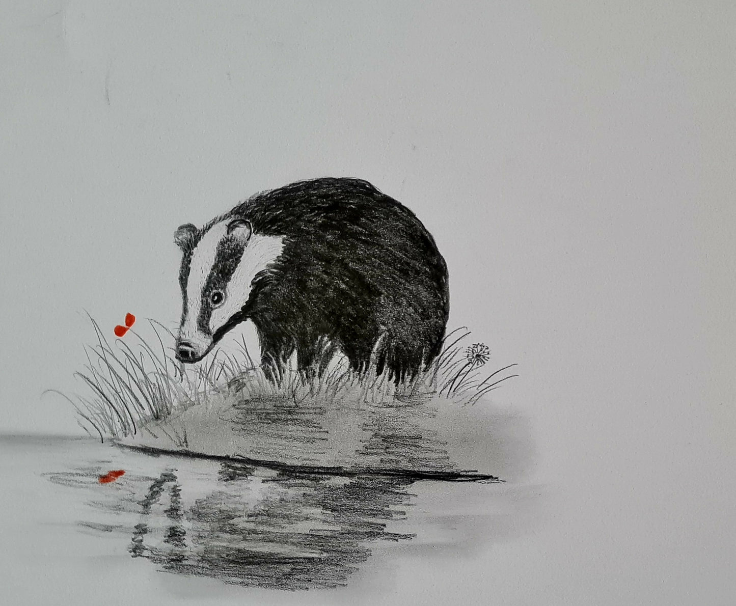 U723 Original Polychromo  - 'reflected badger'