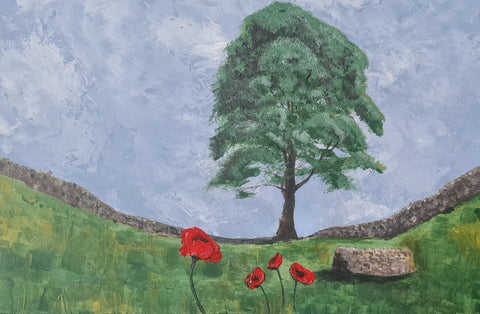551 Original Painting - 'poppies at Sycamore Gap'