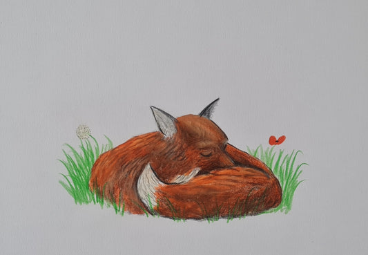 U718 Original Polychromo  - 'sleeping Red'