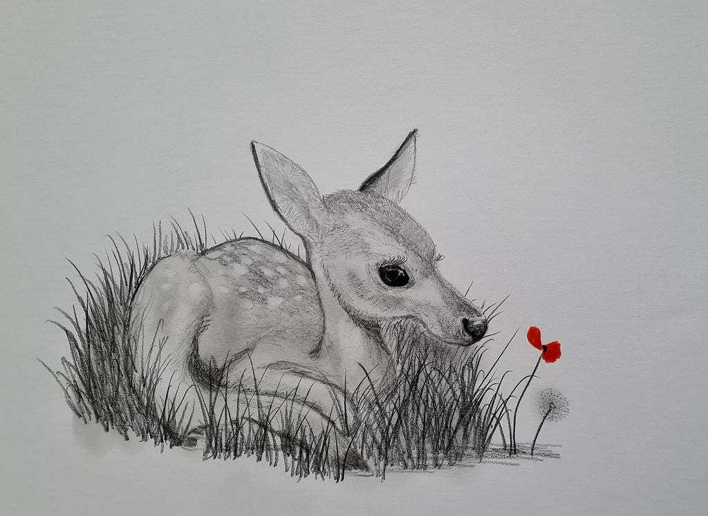 U717 Original Polychromo  - 'Bambi'