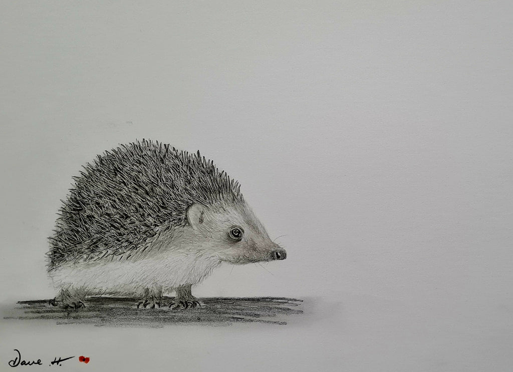U715 Original Polychromo  - 'The hedgehog'
