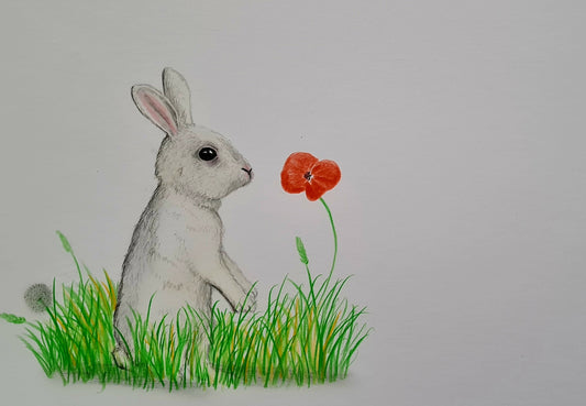 U716 Original Polychromo  - 'white Rabbit'